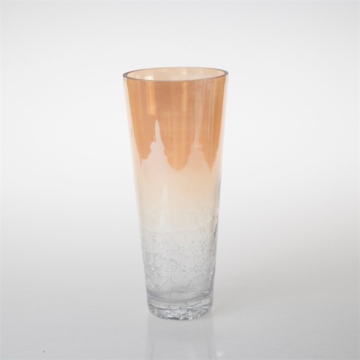 Cylinder Classic Glass Flower Vase in Home For Gift